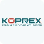 Media Partner