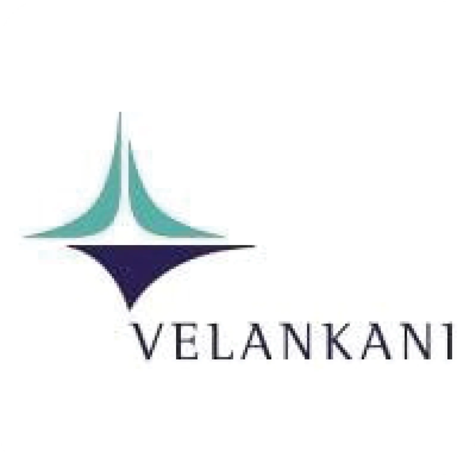 Media Partner